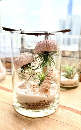 Ocean Air Terrarium – Coastal Glass Garden Decor
